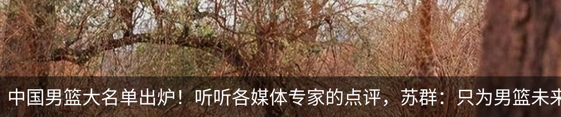热点资讯